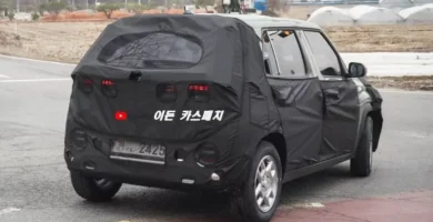 Coche con cubierta de camuflaje en carretera.