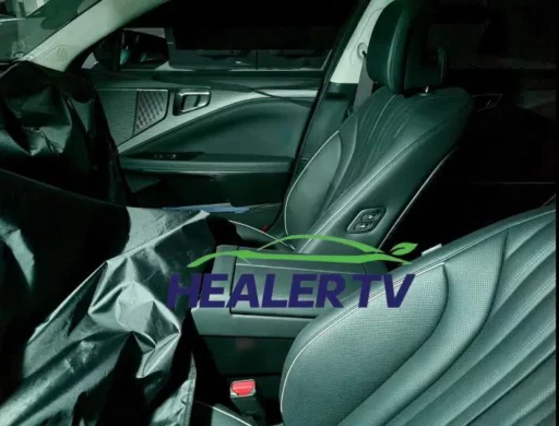 Interior de un coche con asientos de cuero y la marca "HEALER TV".
