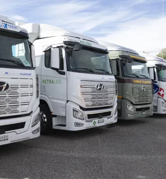 Fila de camiones Hyundai aparcados, con diferentes colores y diseños.